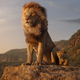 Illustration for article titled Weekend Box Office: The Lion King continues Disney's trend of humongous opening weekends